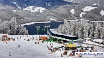 teren-1-ha-transalpina-voineasa-valcea-14
