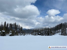 teren-1-ha-transalpina-voineasa-valcea-18