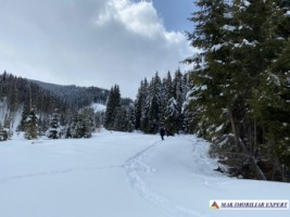 teren-1-ha-transalpina-voineasa-valcea-17
