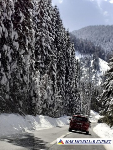 teren-1-ha-transalpina-voineasa-valcea-21