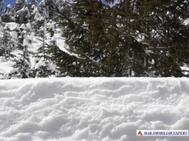 teren-1-ha-transalpina-voineasa-valcea-23