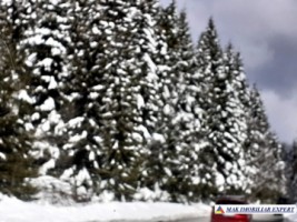 teren-1-ha-transalpina-voineasa-valcea-24