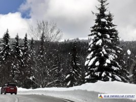 teren-1-ha-transalpina-voineasa-valcea-25