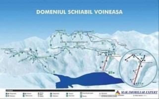 teren-1-ha-transalpina-voineasa-valcea-31