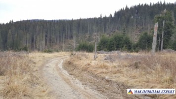 teren-1-ha-transalpina-voineasa-valcea-30