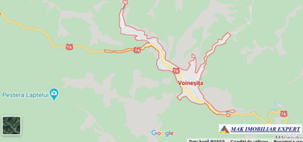teren-1-ha-transalpina-voineasa-valcea-33