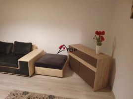 apartament-1-camera-decomandat-nicolina-2