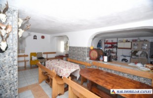 vila-cu-7-camere-si-teren-de-250-mp-de-vanzare-salatrucu-arges-9