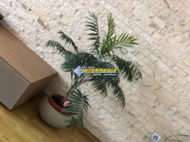 vanzare-apartament-2-camere-decomandate-in-alba-iulia-zona-cetate-mobilat-si-utilat-complet-si-loc-parcare-23