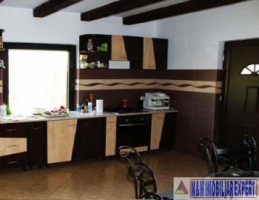 vila-8-camere-teren-2150-mp-de-vanzare-in-podul-dambovitei-arges-5