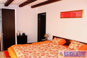 vila-8-camere-teren-2150-mp-de-vanzare-in-podul-dambovitei-arges-7