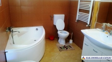 vila-8-camere-teren-2150-mp-de-vanzare-in-podul-dambovitei-arges-31