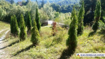 vila-8-camere-teren-2150-mp-de-vanzare-in-podul-dambovitei-arges-40