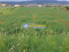 teren-intravilan-4300-mp-de-vanzare-alba-iulia-zona-cetate