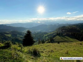 teren-extravilan-45-ha-de-vanzare-rucar-capitanu-arges