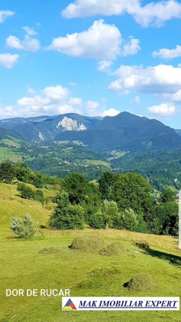 teren-extravilan-45-ha-de-vanzare-rucar-capitanu-arges-2