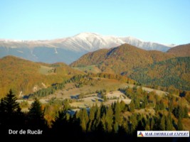 teren-extravilan-45-ha-de-vanzare-rucar-capitanu-arges-5