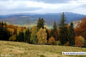 teren-extravilan-45-ha-de-vanzare-rucar-capitanu-arges-11