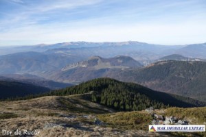 teren-extravilan-45-ha-de-vanzare-rucar-capitanu-arges-12