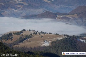 teren-extravilan-45-ha-de-vanzare-rucar-capitanu-arges-13