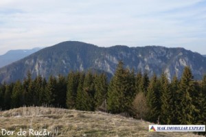 teren-extravilan-45-ha-de-vanzare-rucar-capitanu-arges-14