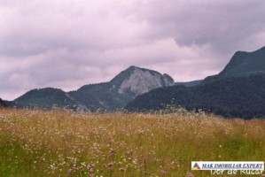 teren-extravilan-45-ha-de-vanzare-rucar-capitanu-arges-15