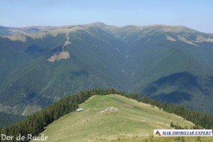 teren-extravilan-45-ha-de-vanzare-rucar-capitanu-arges-16