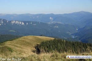 teren-extravilan-45-ha-de-vanzare-rucar-capitanu-arges-17