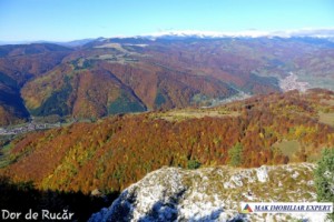 teren-extravilan-45-ha-de-vanzare-rucar-capitanu-arges-18
