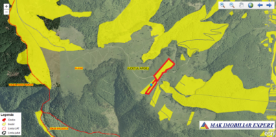 teren-extravilan-45-ha-de-vanzare-rucar-capitanu-arges-21