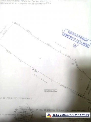 teren-4-ha-extravilan-de-vanzare-in-lucieni-hartiesti-arges