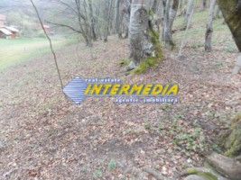 teren-1400-mp-valea-ighelului-6