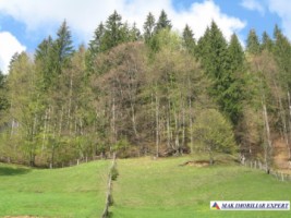 nu-vand-deocamdata-teren-intravilan-2000-mp-de-vanzare-in-dambovicioara-arges-2
