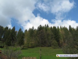 nu-vand-deocamdata-teren-intravilan-2000-mp-de-vanzare-in-dambovicioara-arges-3