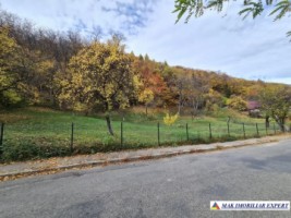 teren-intravilan-de-vanzare-1214-mp-in-apa-sarata-campulung-muscel-arges-1