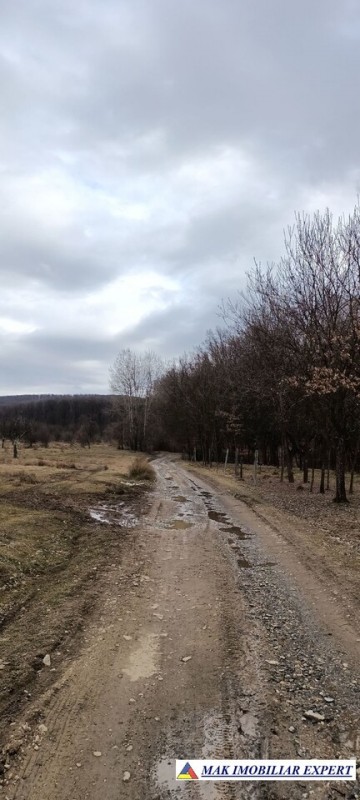 teren-intravilan-2300-mp-de-vanzare-stalpeni-arges-1
