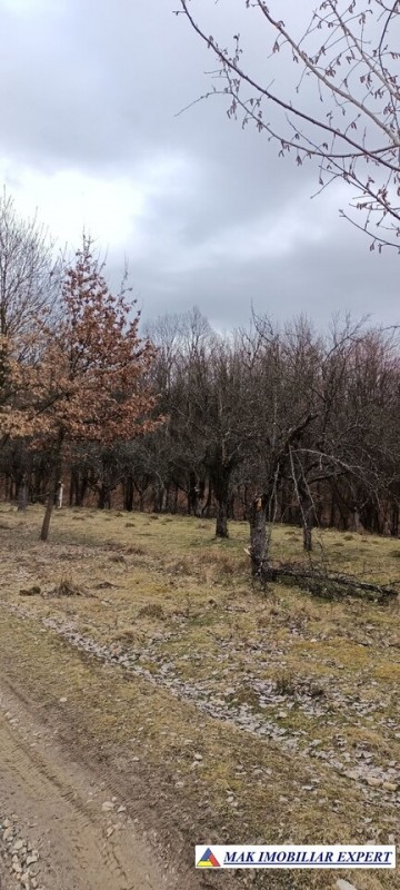 teren-intravilan-2300-mp-de-vanzare-stalpeni-arges
