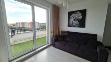 penthouse-zona-someseni-13