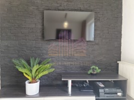 penthouse-zona-someseni-22