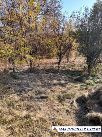teren-extravilan-3619-mp-de-vanzare-in-baiculesti-arges-oportunitate-pentru-investitii-agricole-1