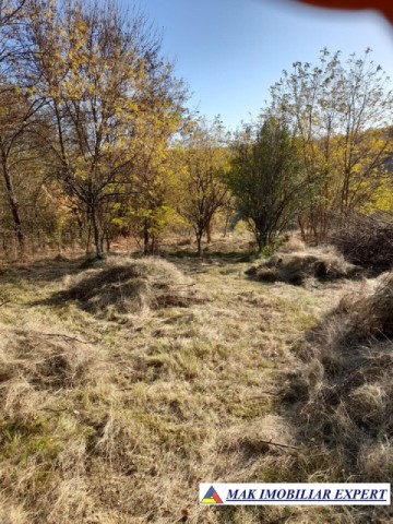 teren-extravilan-3619-mp-de-vanzare-in-baiculesti-arges-oportunitate-pentru-investitii-agricole-2