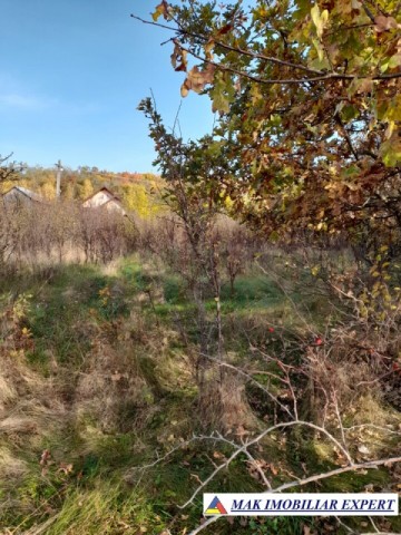 teren-extravilan-3619-mp-de-vanzare-in-baiculesti-arges-oportunitate-pentru-investitii-agricole-3