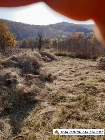 teren-extravilan-3619-mp-de-vanzare-in-baiculesti-arges-oportunitate-pentru-investitii-agricole-4