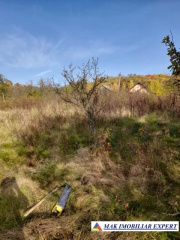 teren-extravilan-3619-mp-de-vanzare-in-baiculesti-arges-oportunitate-pentru-investitii-agricole-6