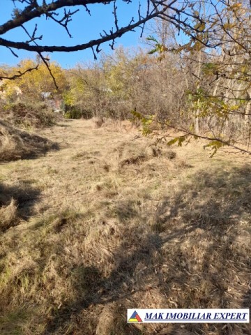 teren-extravilan-3619-mp-de-vanzare-in-baiculesti-arges-oportunitate-pentru-investitii-agricole-5