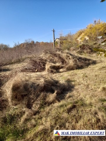 teren-extravilan-3619-mp-de-vanzare-in-baiculesti-arges-oportunitate-pentru-investitii-agricole-7