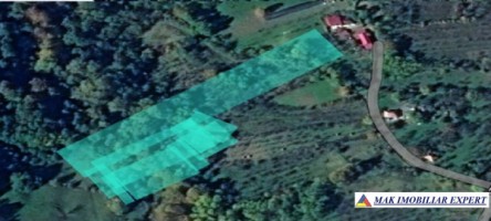 teren-extravilan-3619-mp-de-vanzare-in-baiculesti-arges-oportunitate-pentru-investitii-agricole-9