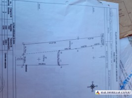 teren-extravilan-3619-mp-de-vanzare-in-baiculesti-arges-oportunitate-pentru-investitii-agricole-11