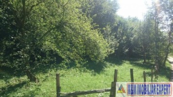teren-intravilan-de-vanzare-2574-mp-in-apa-sarata-valea-barbusii-campulung-muscel-arges-4