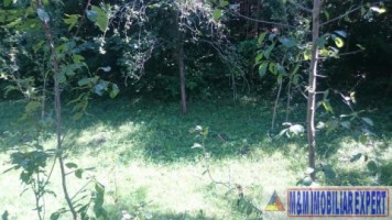 teren-intravilan-de-vanzare-2574-mp-in-apa-sarata-valea-barbusii-campulung-muscel-arges-5
